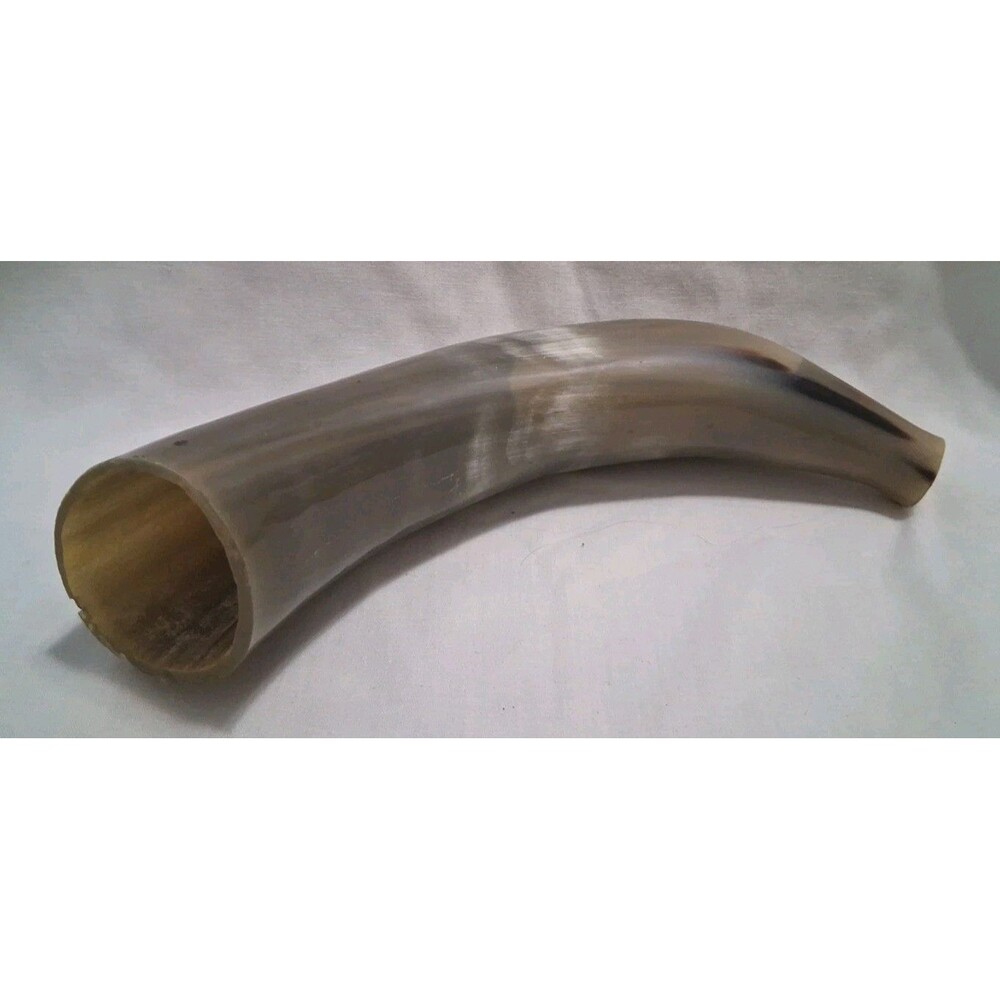 Natural Bovine Powder Horn Project Piece - 14" Black Powder Accessory Shell